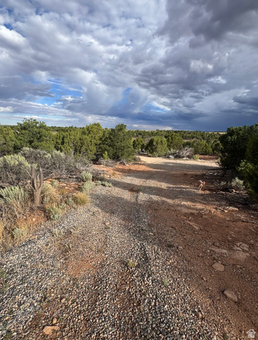 347 East North Old Summit Road Monticello, UT 84535 - Photo 12 of 30 gravel driveway