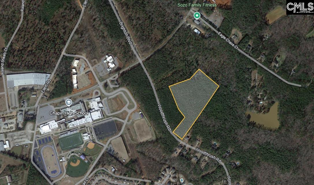 0 Woodthrush Road Chapin, SC 29036 - Photo 8 of 8