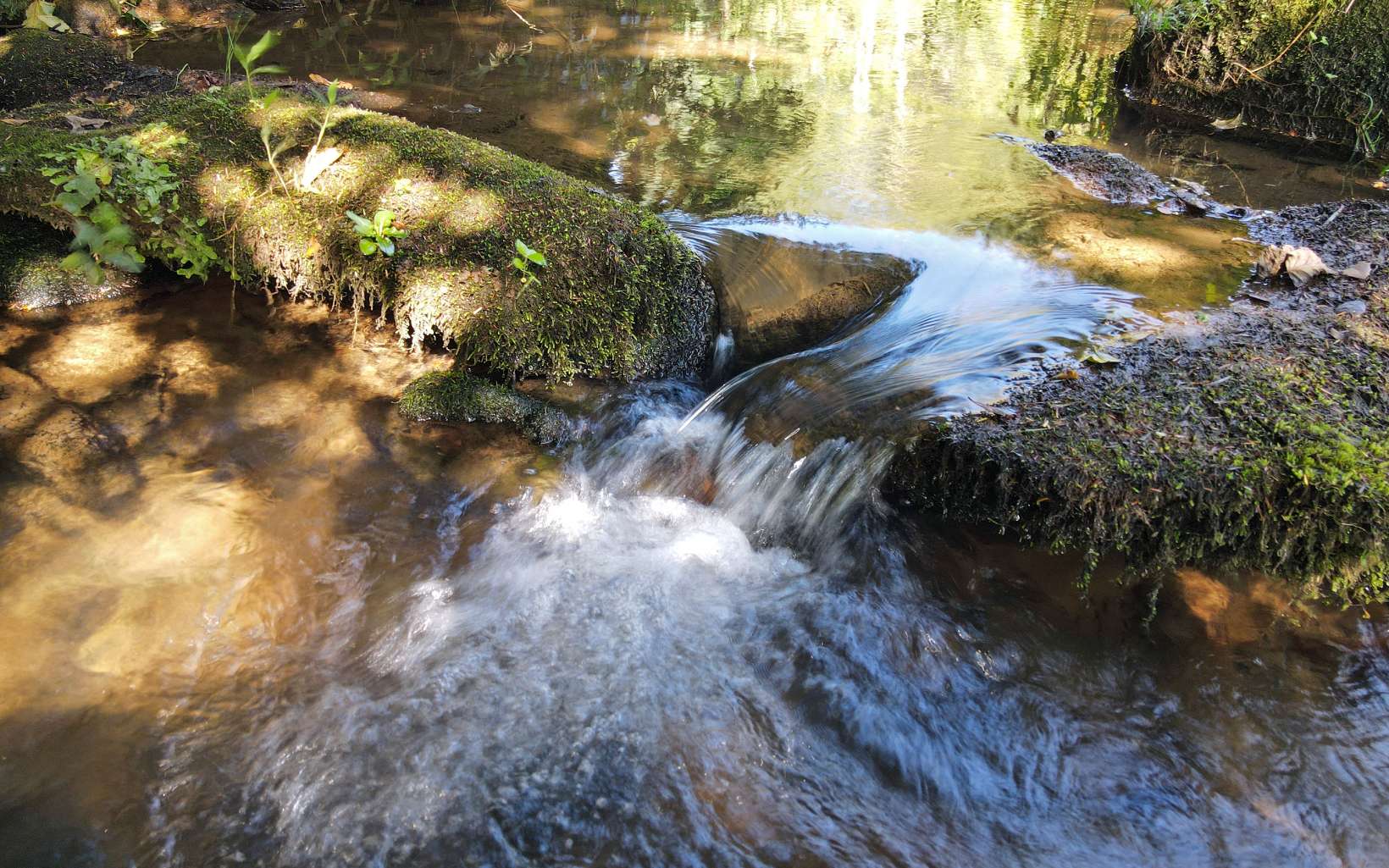 2261 Grape Creek Road Murphy, NC 28906 - Photo 24 of 62 Additional View