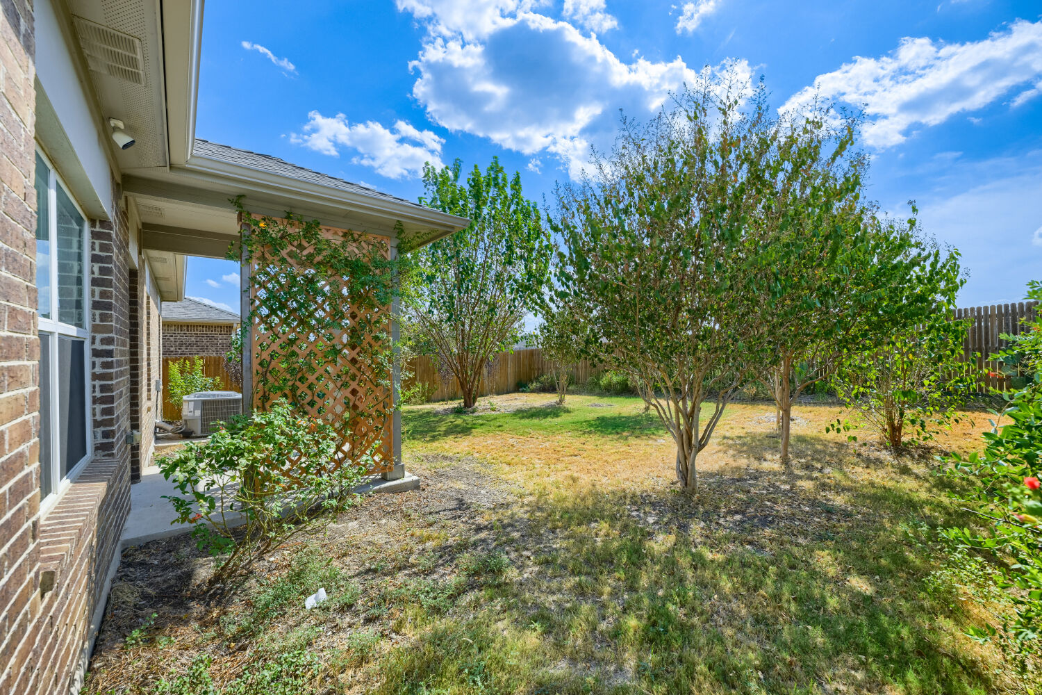 109 Moravia Road Georgetown, TX 78626 - Photo 22 of 25 Mature trees and a covered patio frame this private grassy backyard oasis.