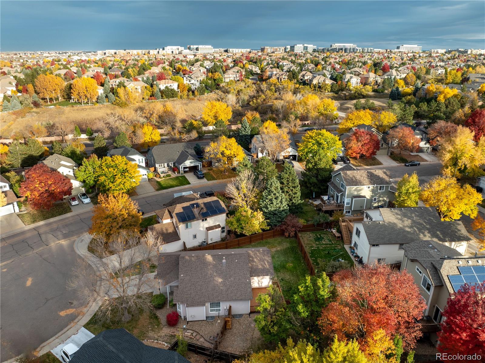 8782 Troon Village Place Lone Tree, CO 80124 - Photo 8 of 48