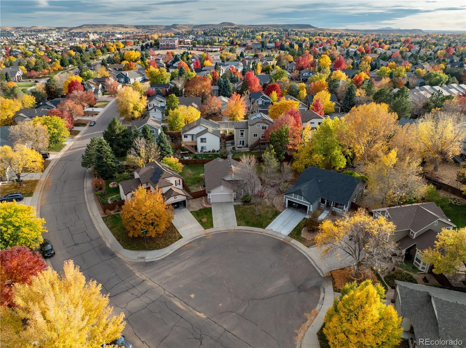 8782 Troon Village Place Lone Tree, CO 80124 - Photo 10 of 48