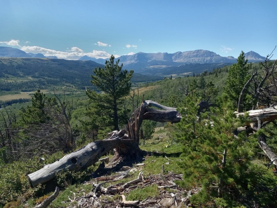 89 Rd Browning Mount Browning, MT 59417 - Photo 1 of 1 Million dollar views! 77 acres in PRIME traffic area to Glacier Park, St. Mary's, Going to the Sun, and other tourist sites in our beautiful state!