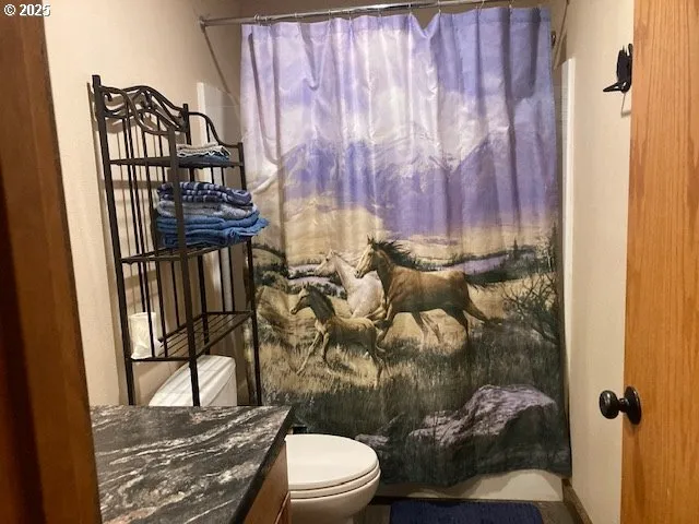 a bathroom with a toilet and shower curtain