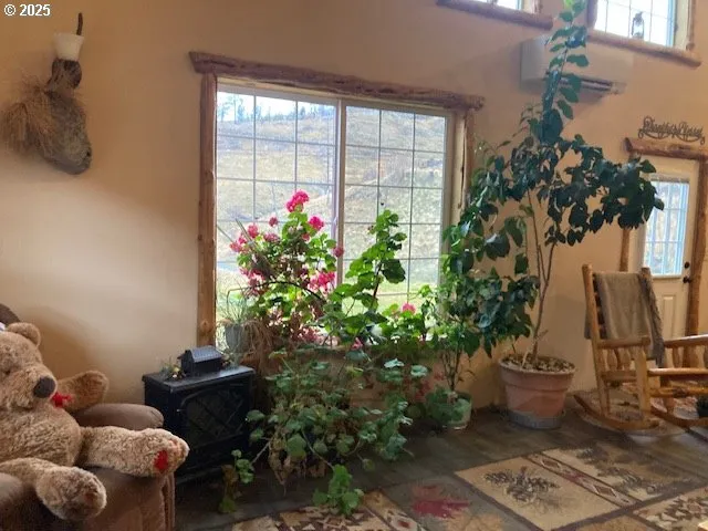 a potted plant sitting in front of a house