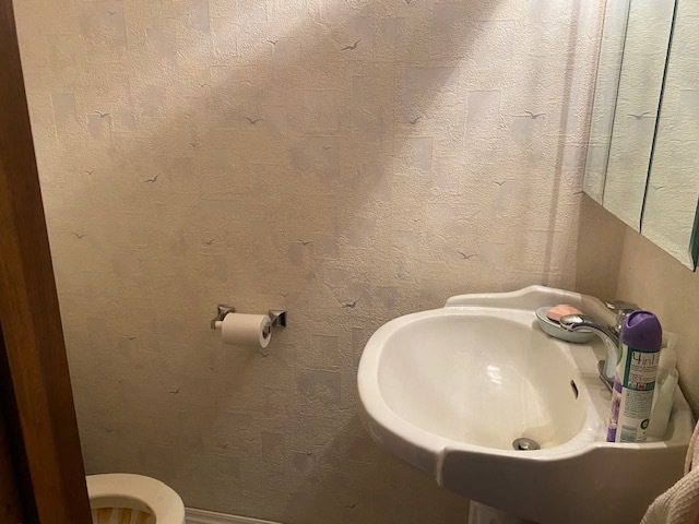 81 North 17th Road Lostant, IL 61334 - Photo 16 of 16 a bathroom with a sink and mirror