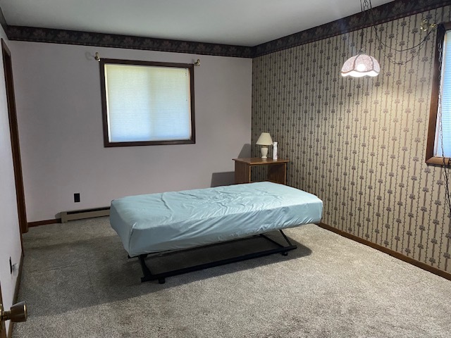 81 North 17th Road Lostant, IL 61334 - Photo 9 of 16 a bedroom with a bed and wall painting