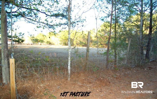 12050 Mary Ann Bch Road Fairhope, AL 36532 - Photo 13 of 44
