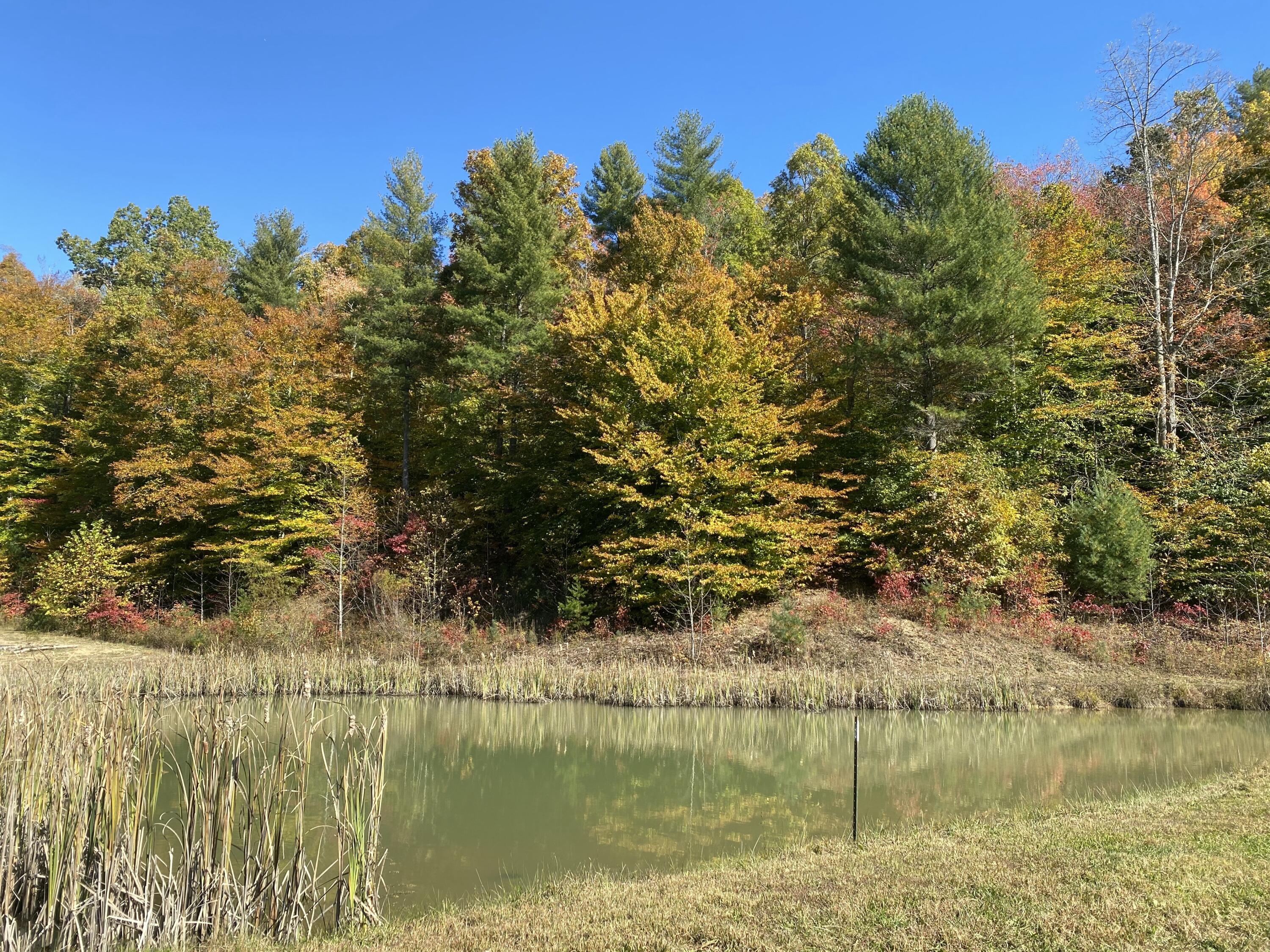 431 Harold Luke Road Campton, KY 41301 - Photo 21 of 82 021 the pond along the approach to the h