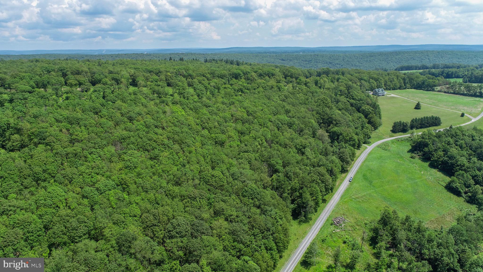 Lot 4 Greenwood Ridge Road Accident, MD 21520 - Photo 11 of 12 a view of a lush green space next to a yard