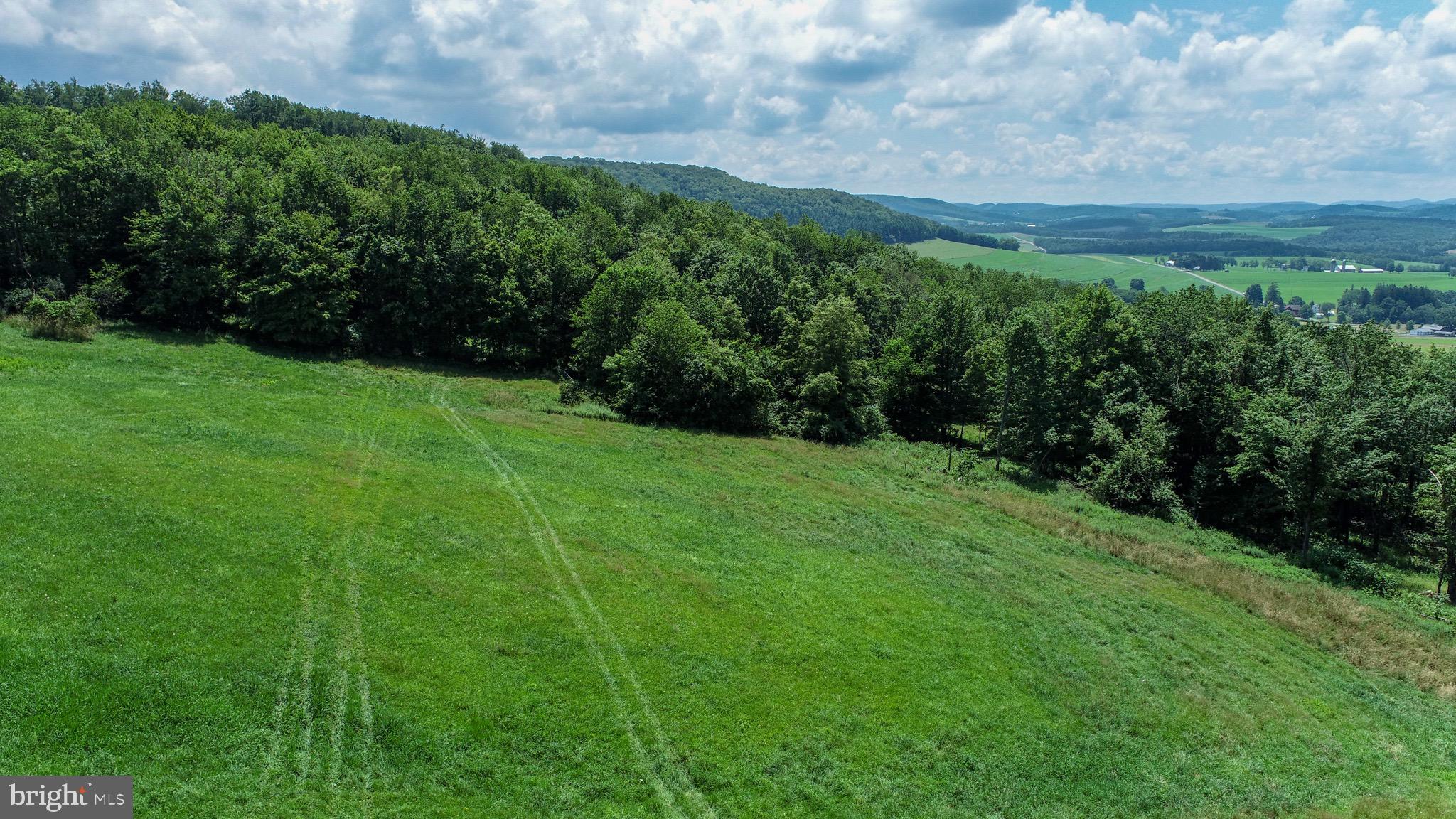 Lot 4 Greenwood Ridge Road Accident, MD 21520 - Photo 12 of 12 a view of a yard with an outdoor space