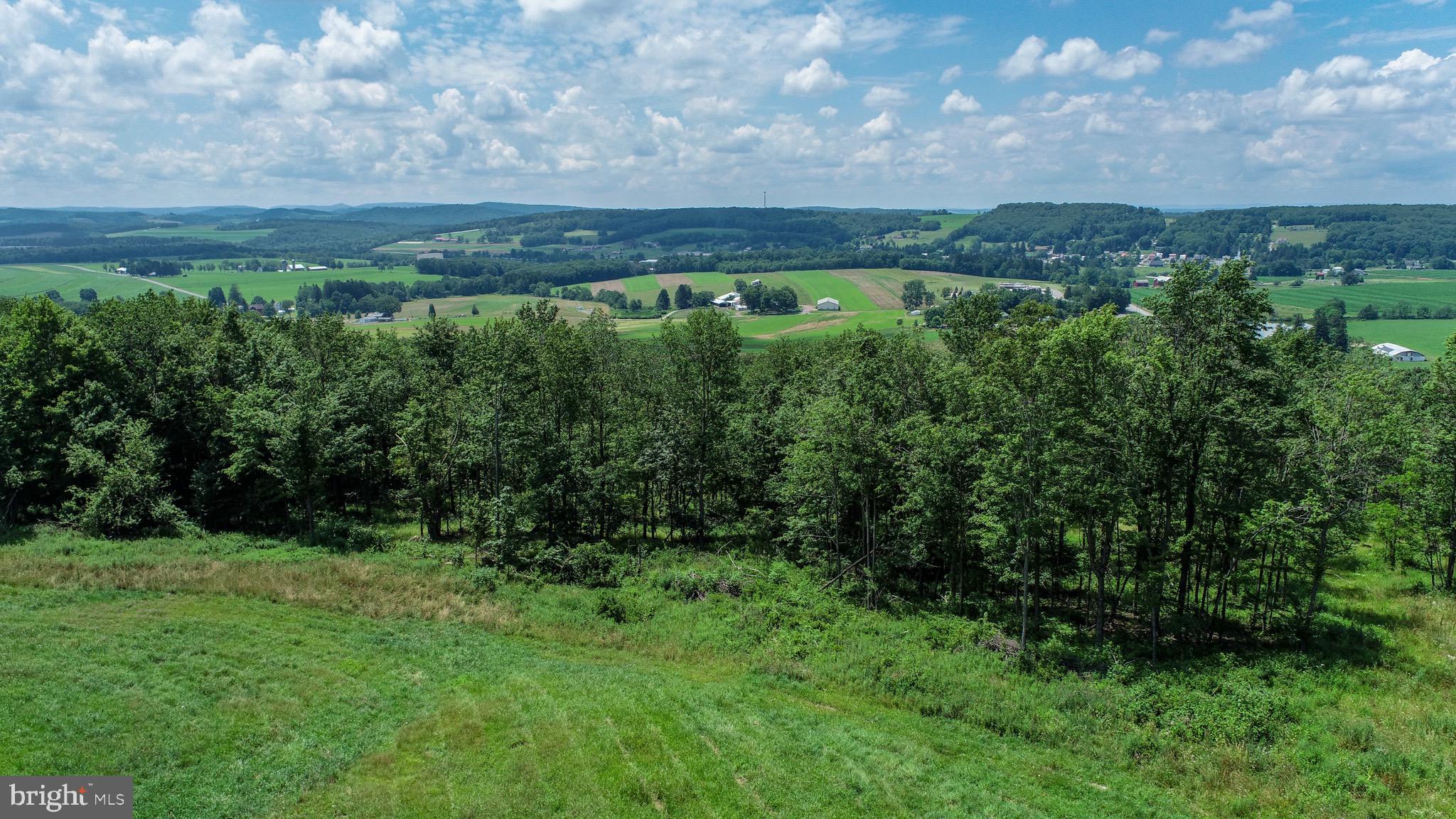 Lot 4 Greenwood Ridge Road Accident, MD 21520 - Photo 3 of 12 a view of a garden