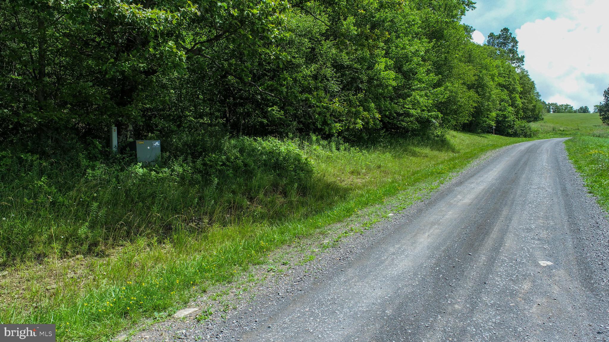 Lot 4 Greenwood Ridge Road Accident, MD 21520 - Photo 4 of 12 a view of a garden with a bench