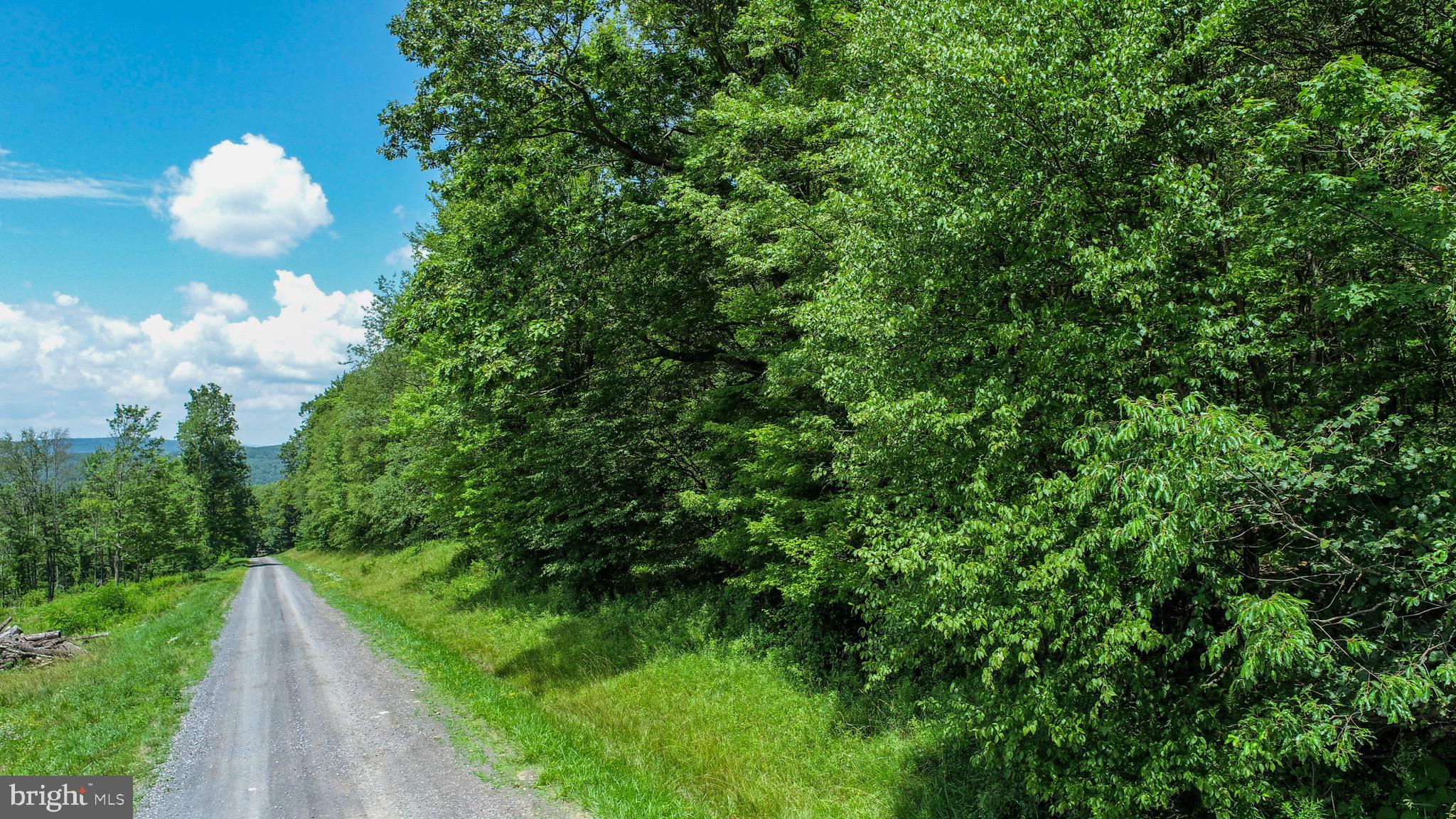 Lot 4 Greenwood Ridge Road Accident, MD 21520 - Photo 6 of 12 a view of a green yard
