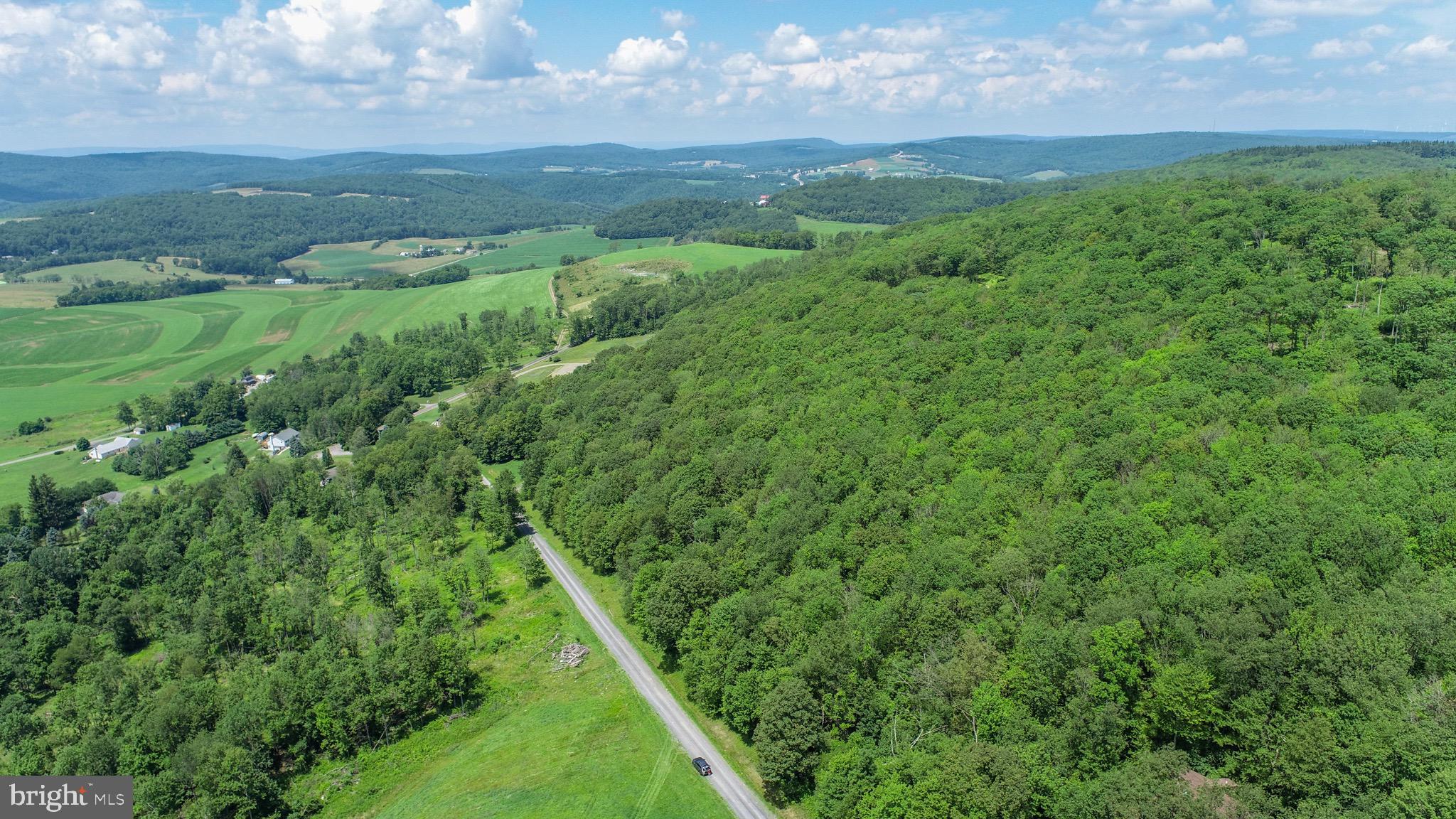 Lot 4 Greenwood Ridge Road Accident, MD 21520 - Photo 7 of 12 a view of a lush green outdoor space with a lake view and mountain view