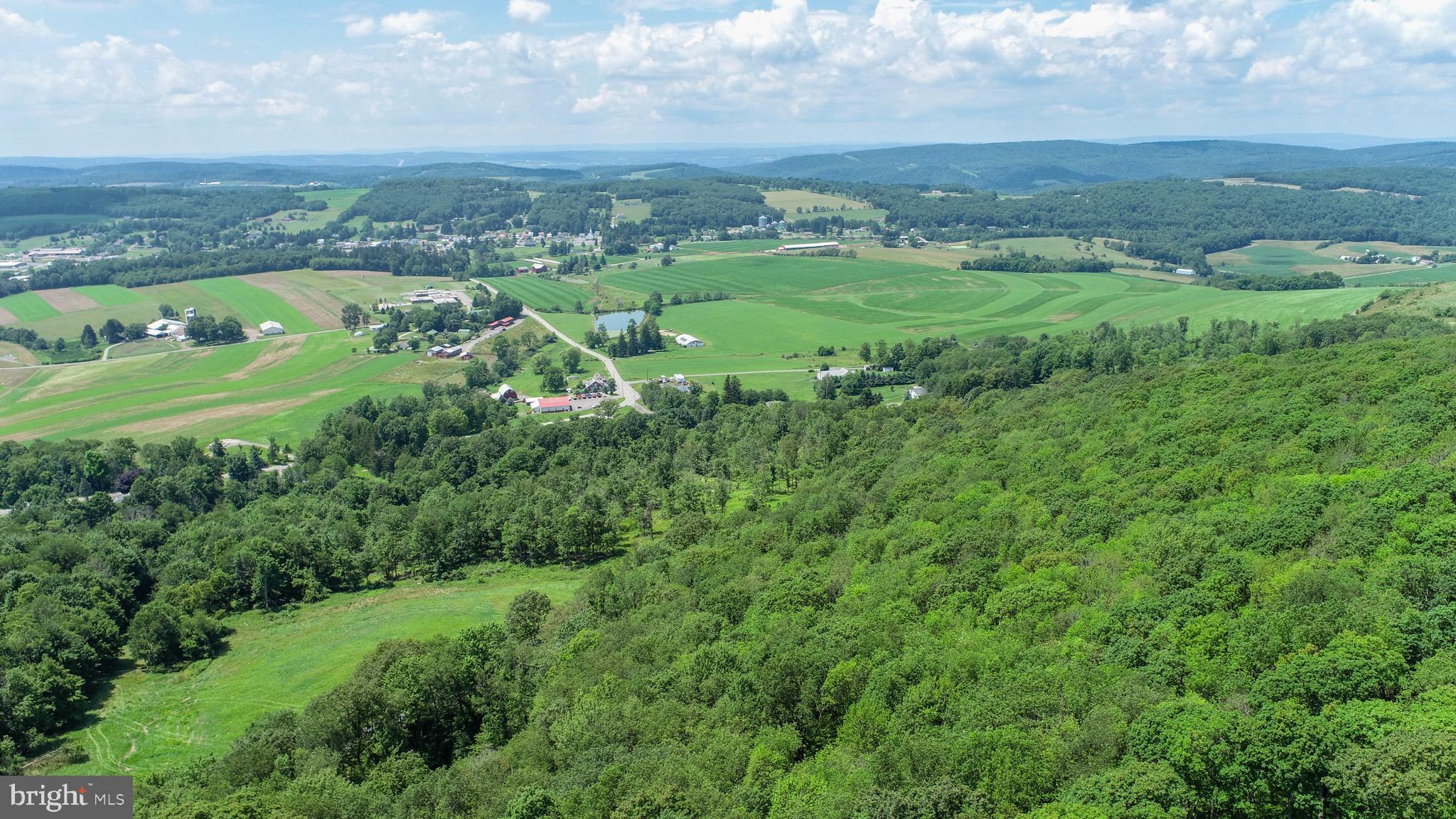 Lot 4 Greenwood Ridge Road Accident, MD 21520 - Photo 8 of 12 an aerial view of a houses with outdoor space and city view