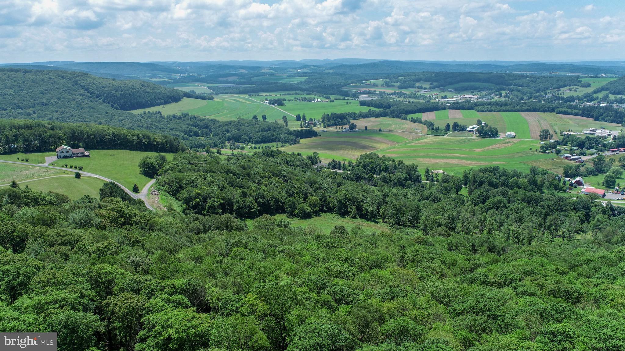 Lot 4 Greenwood Ridge Road Accident, MD 21520 - Photo 9 of 12 an aerial view of a residential houses with outdoor space and garden