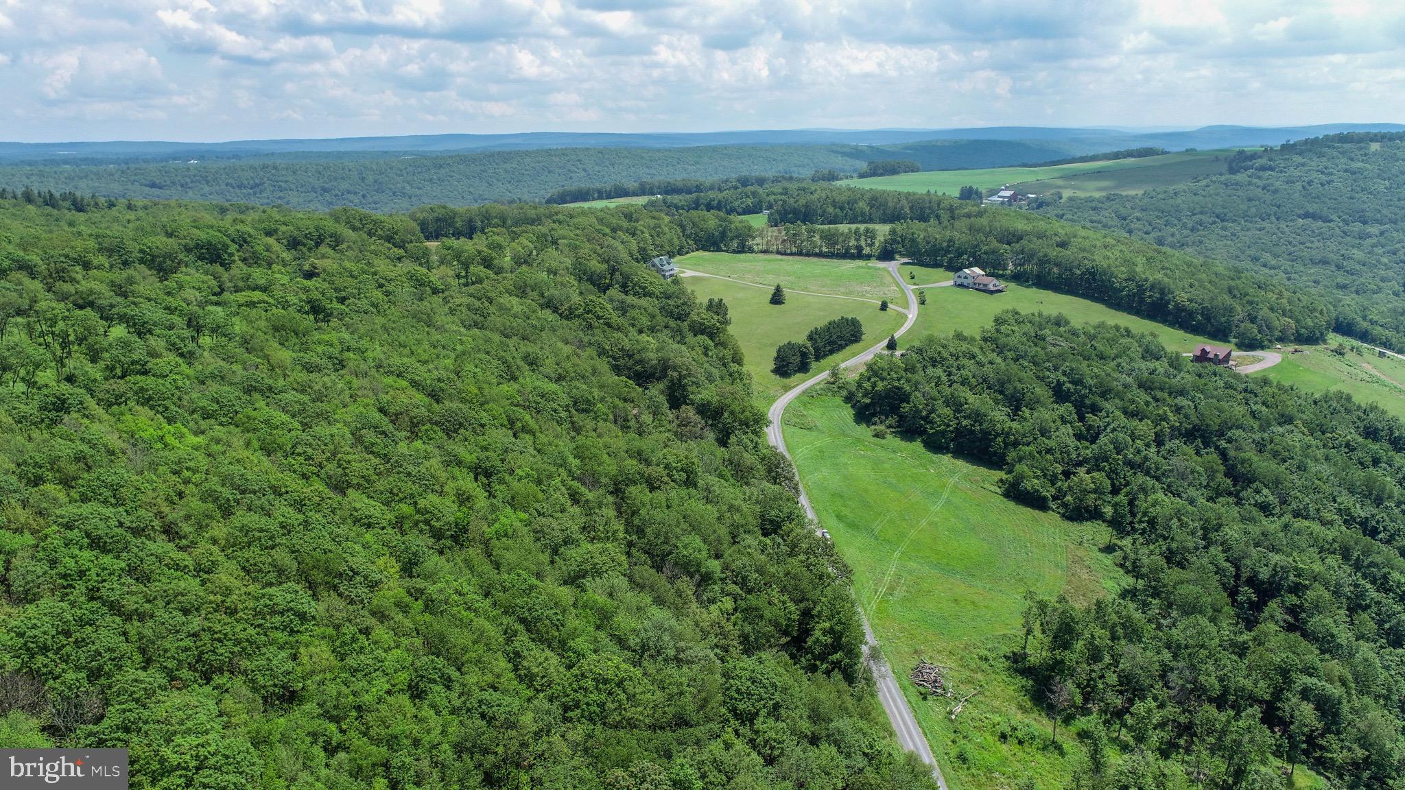 Lot 4 Greenwood Ridge Road Accident, MD 21520 - Photo 10 of 12 a view of a lush green forest with lots of trees