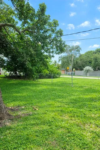 a view of a park with large trees