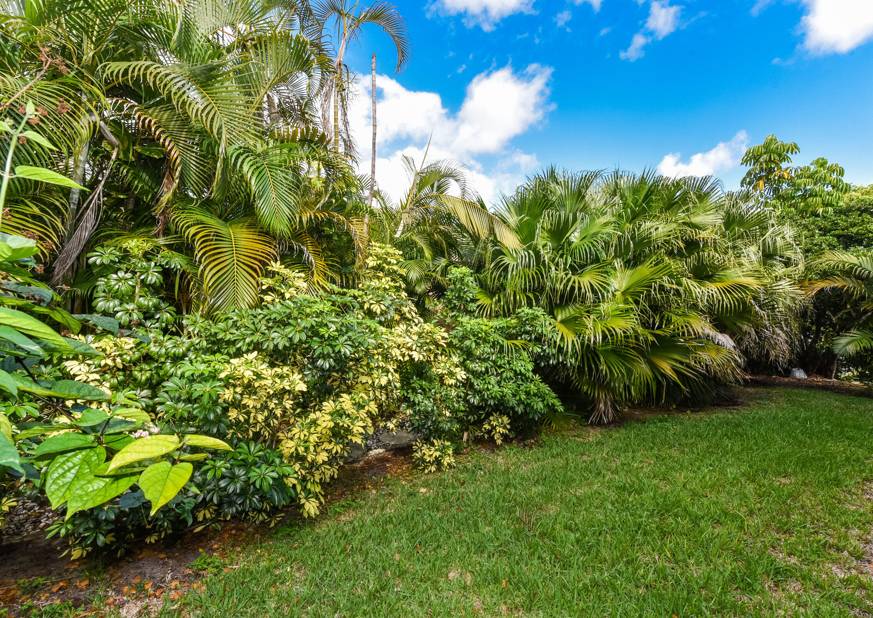 2551 Northwest 46th Street Boca Raton, FL 33434 - Photo 51 of 55 2551 NW 46th St Boca Raton FL-print-050-