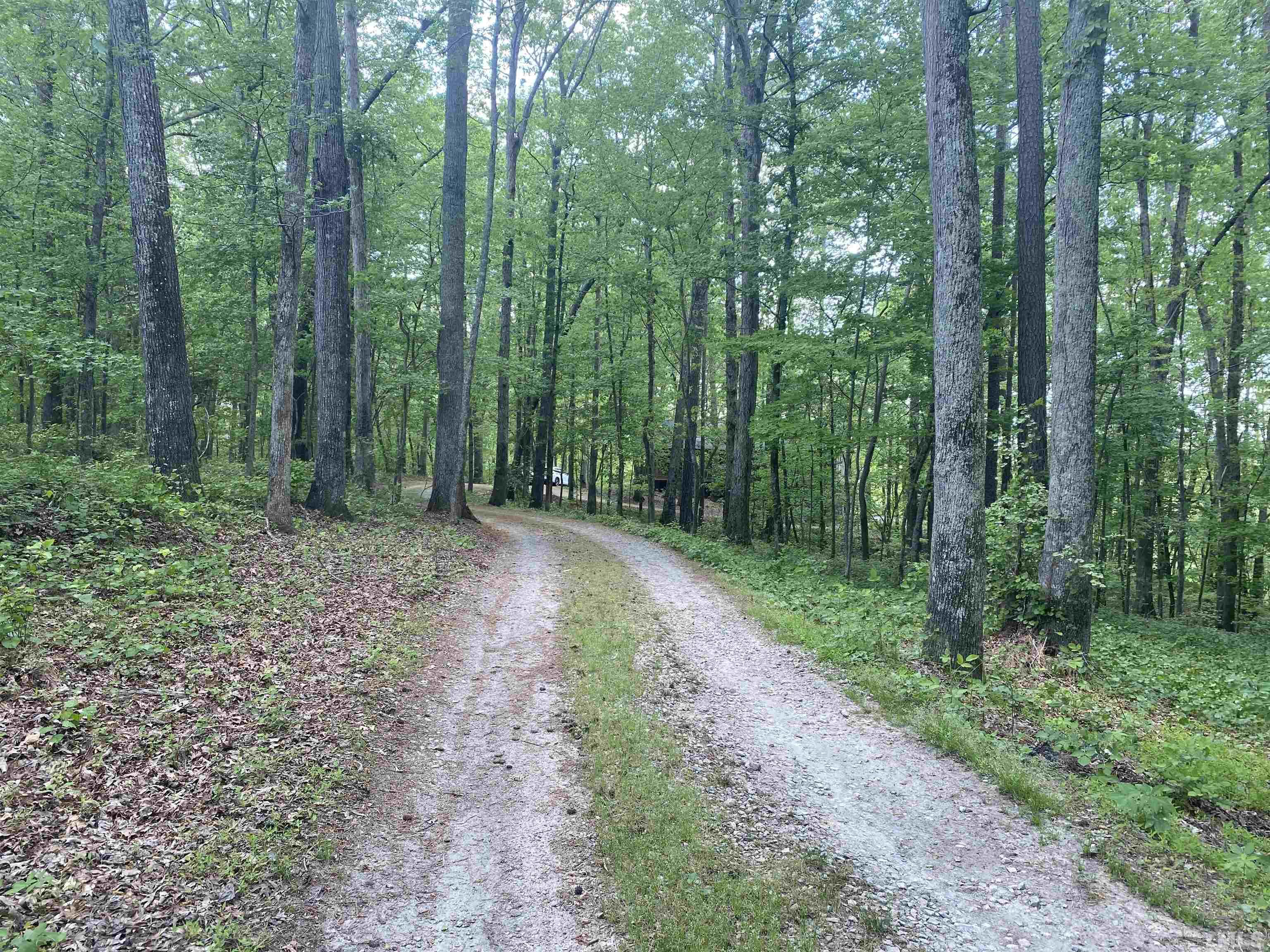 141 Homestead Road Angier, NC 27501 - Photo 8 of 51 Gallery Image 8