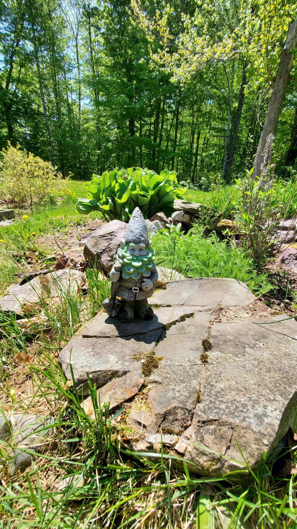 334 Charleston Road Dexter, ME 04930 - Photo 39 of 50 20230523_111214