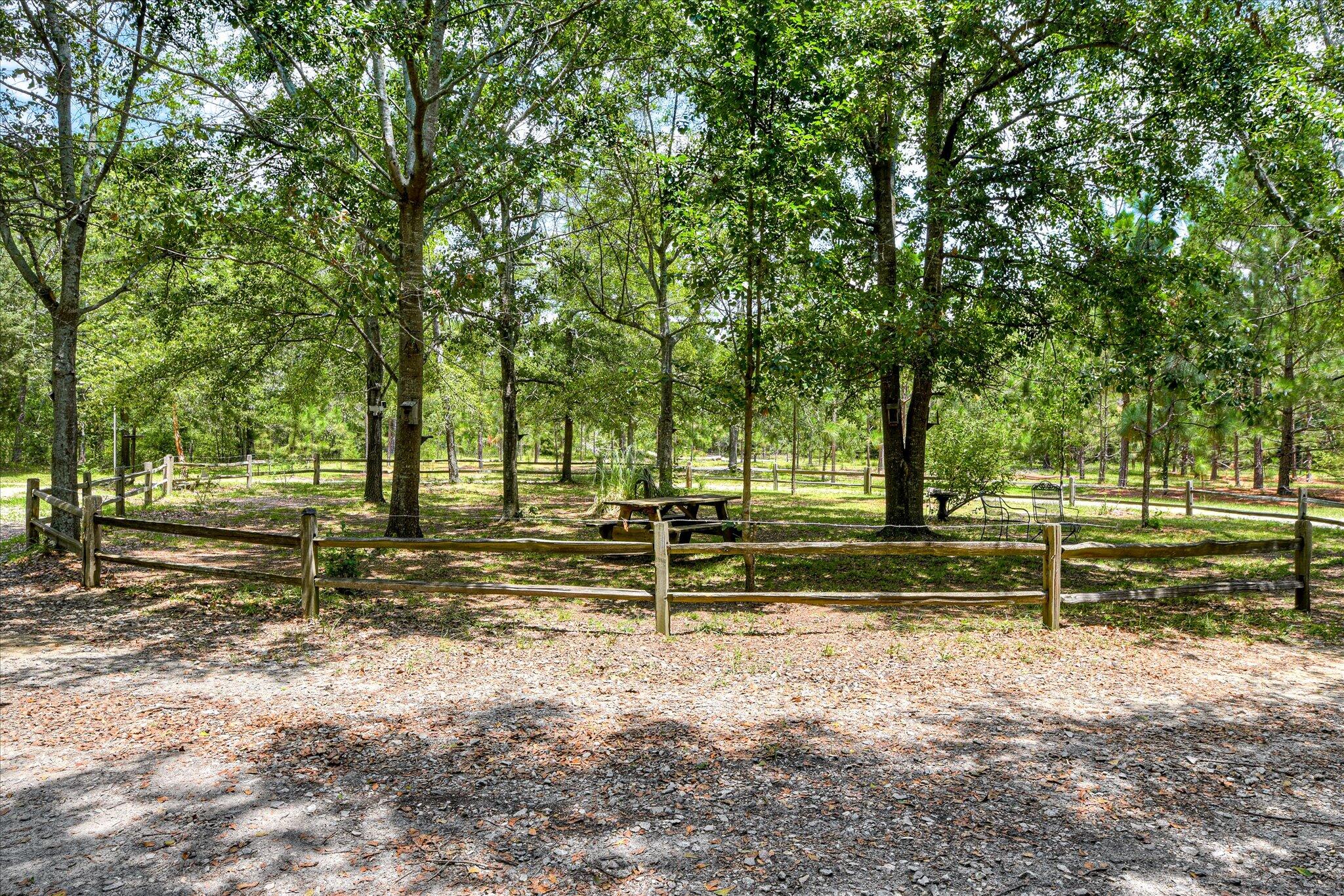 4820 Columbia Highway North Ridge Spring, SC 29129 - Photo 29 of 69