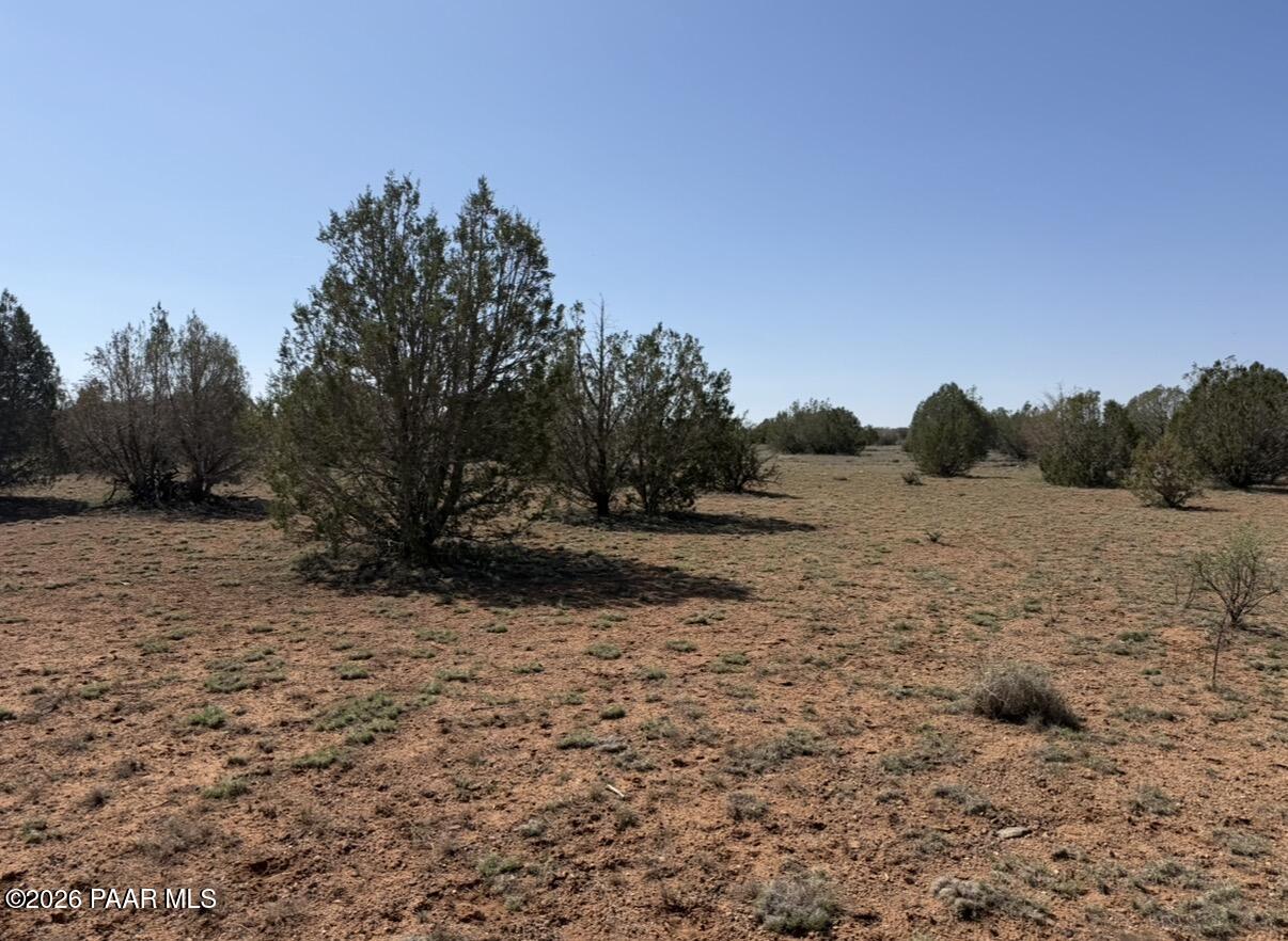 W26 Prairie Dog Road Ash Fork, AZ 86320 - Photo 2 of 10 a view of dirt field with trees in background