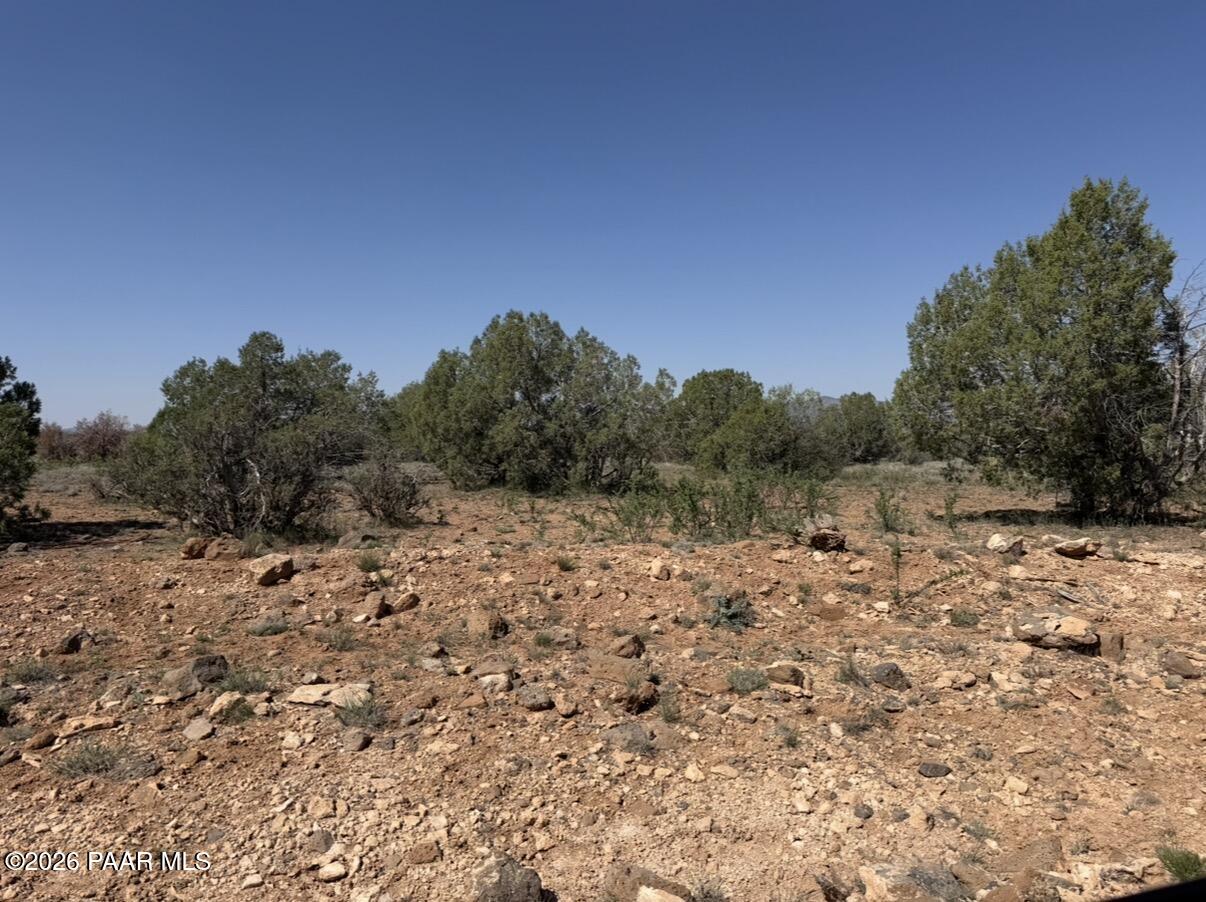 W26 Prairie Dog Road Ash Fork, AZ 86320 - Photo 4 of 10 a view of a dry yard with trees