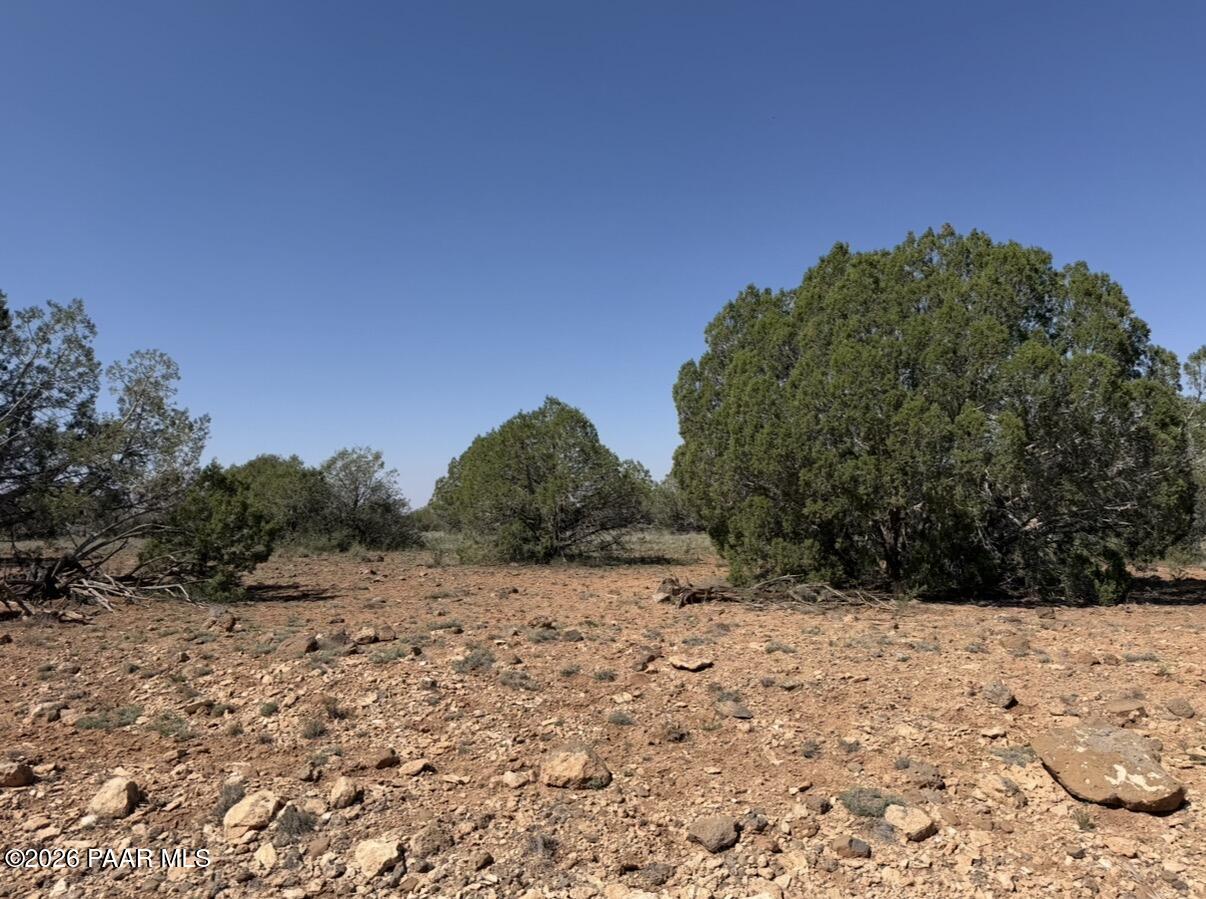 W26 Prairie Dog Road Ash Fork, AZ 86320 - Photo 5 of 10 a view of a yard with a tree