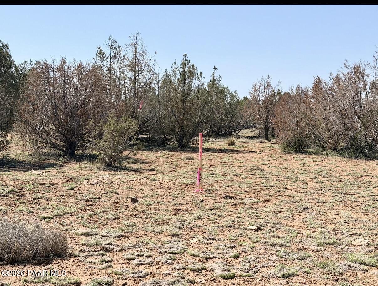 W26 Prairie Dog Road Ash Fork, AZ 86320 - Photo 7 of 10 a view of snow on the side of a road