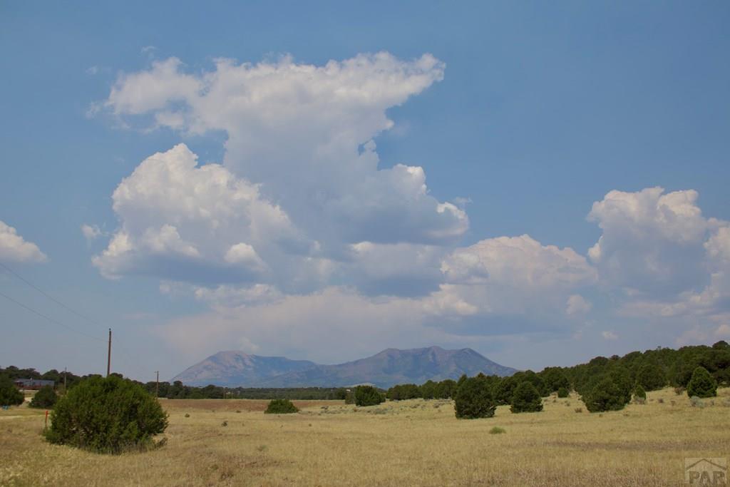 Unit #4 Unit Road Walsenburg, CO 81089 - Photo 28 of 36