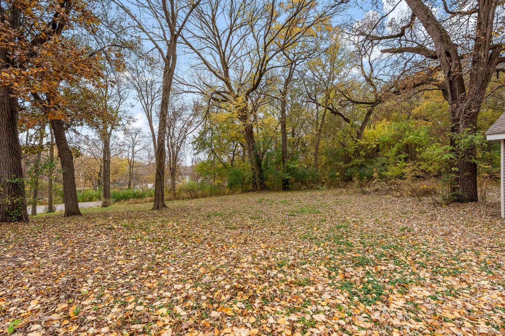 708 South Bluff Road South Beloit, IL 61080 - Photo 6 of 32 a view of a yard with trees