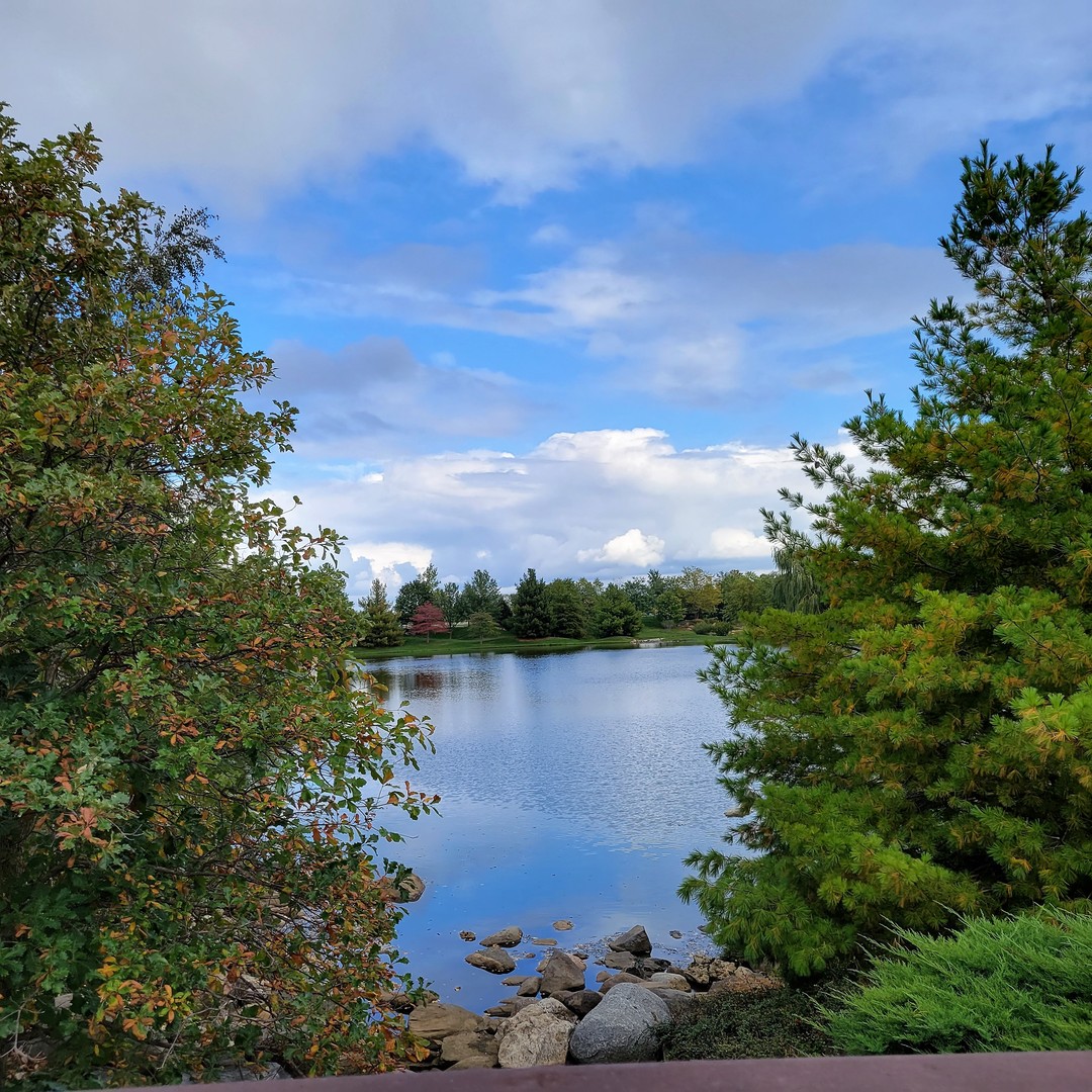 6412 Stony Brook Lane Wonder Lake, IL 60097 - Photo 33 of 36 a view of a lake with a house in the background