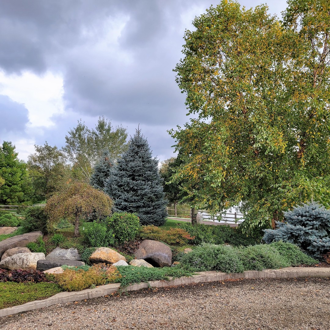 6412 Stony Brook Lane Wonder Lake, IL 60097 - Photo 35 of 36 a backyard of a house with lots of green space