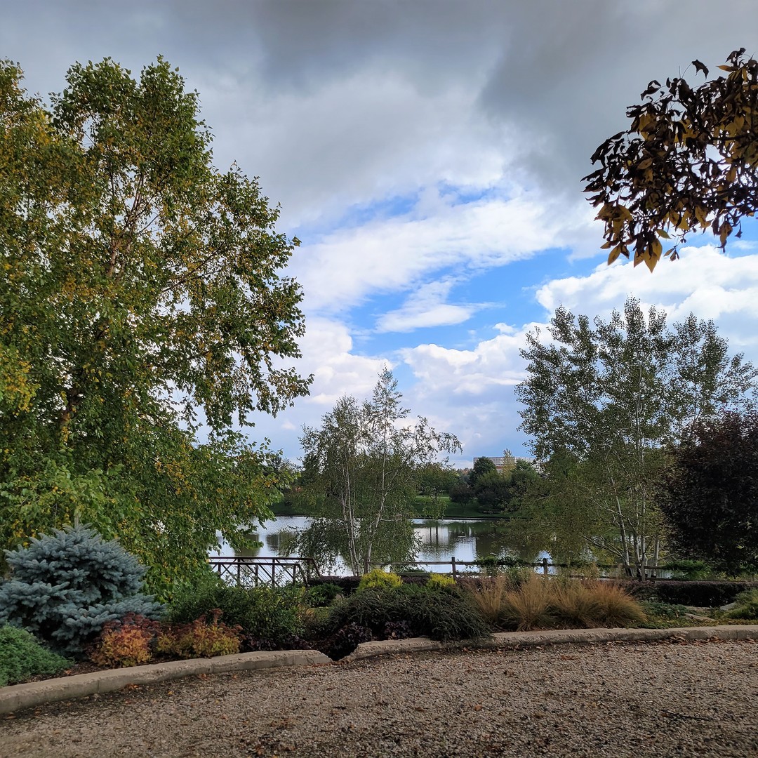 6412 Stony Brook Lane Wonder Lake, IL 60097 - Photo 36 of 36 a view of street next to a yard