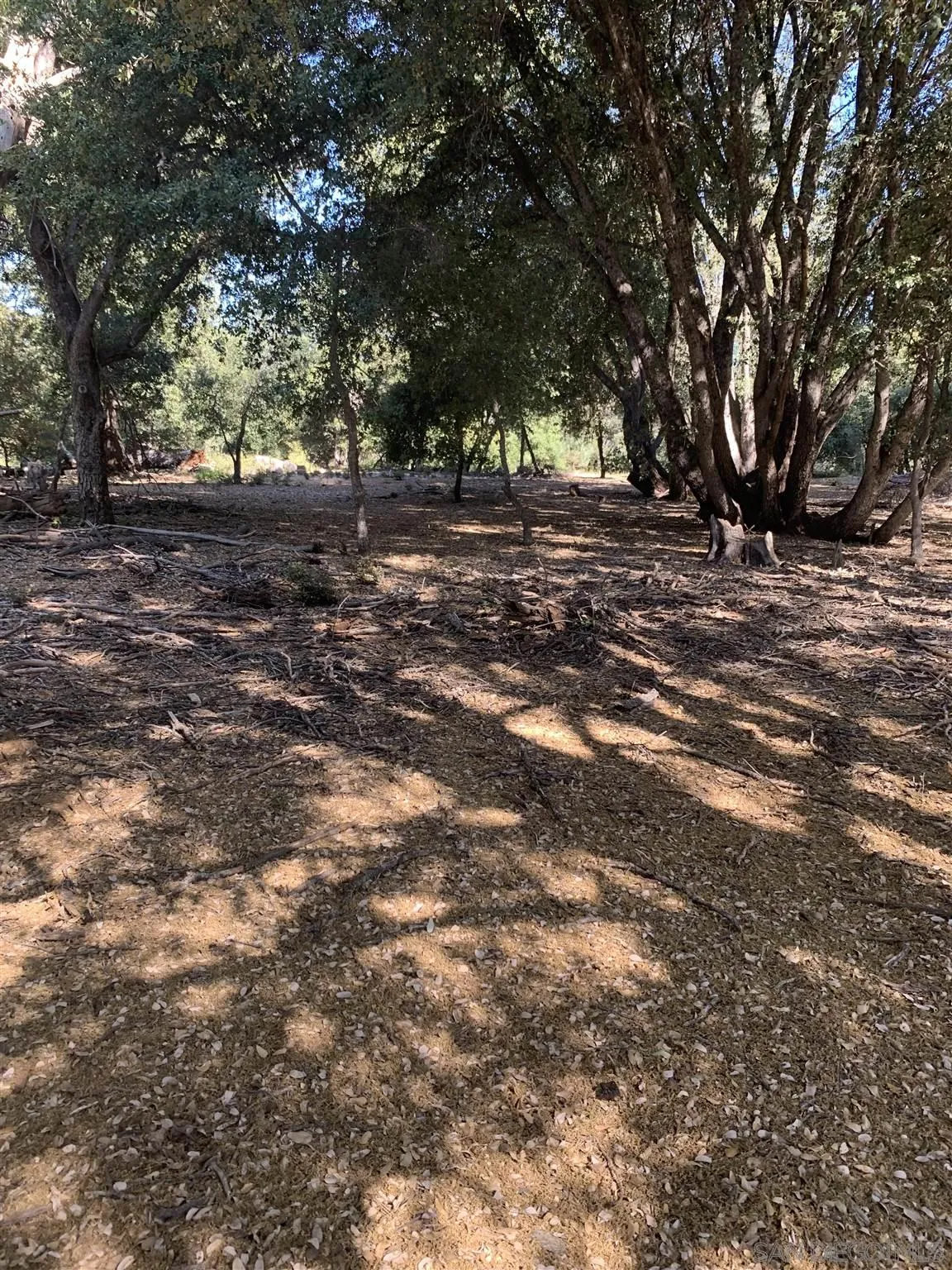 0 West Incense Cedar Road, Unit 33 Julian, CA 92036 - Photo 3 of 3 Gallery Image 3