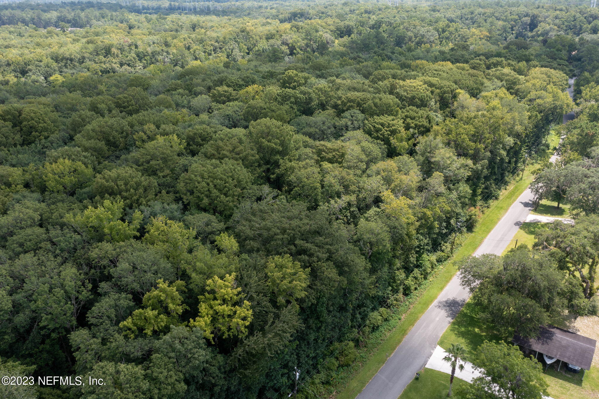 3716 Main Street Middleburg, FL 32068 - Photo 10 of 41 a view of a forest with a houses