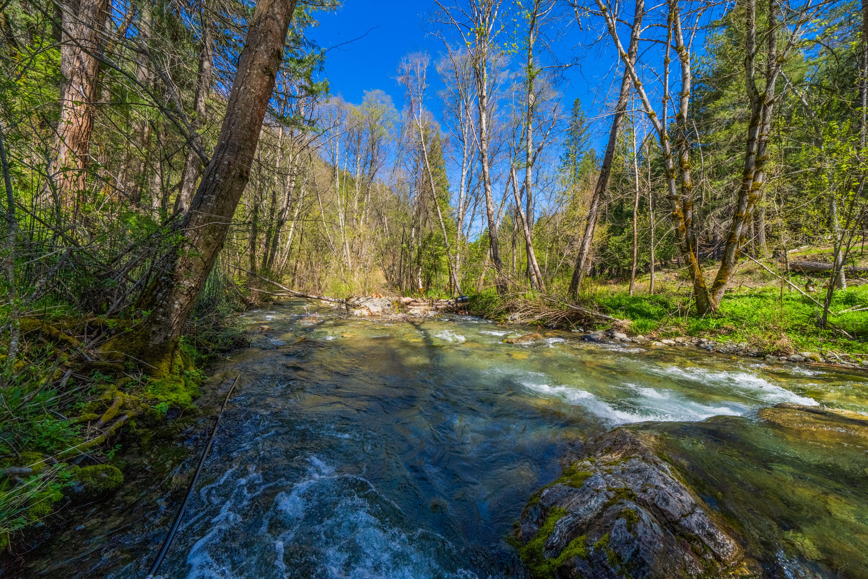 8916 Reading Creek Road Douglas City, CA 96024 - Photo 2 of 48