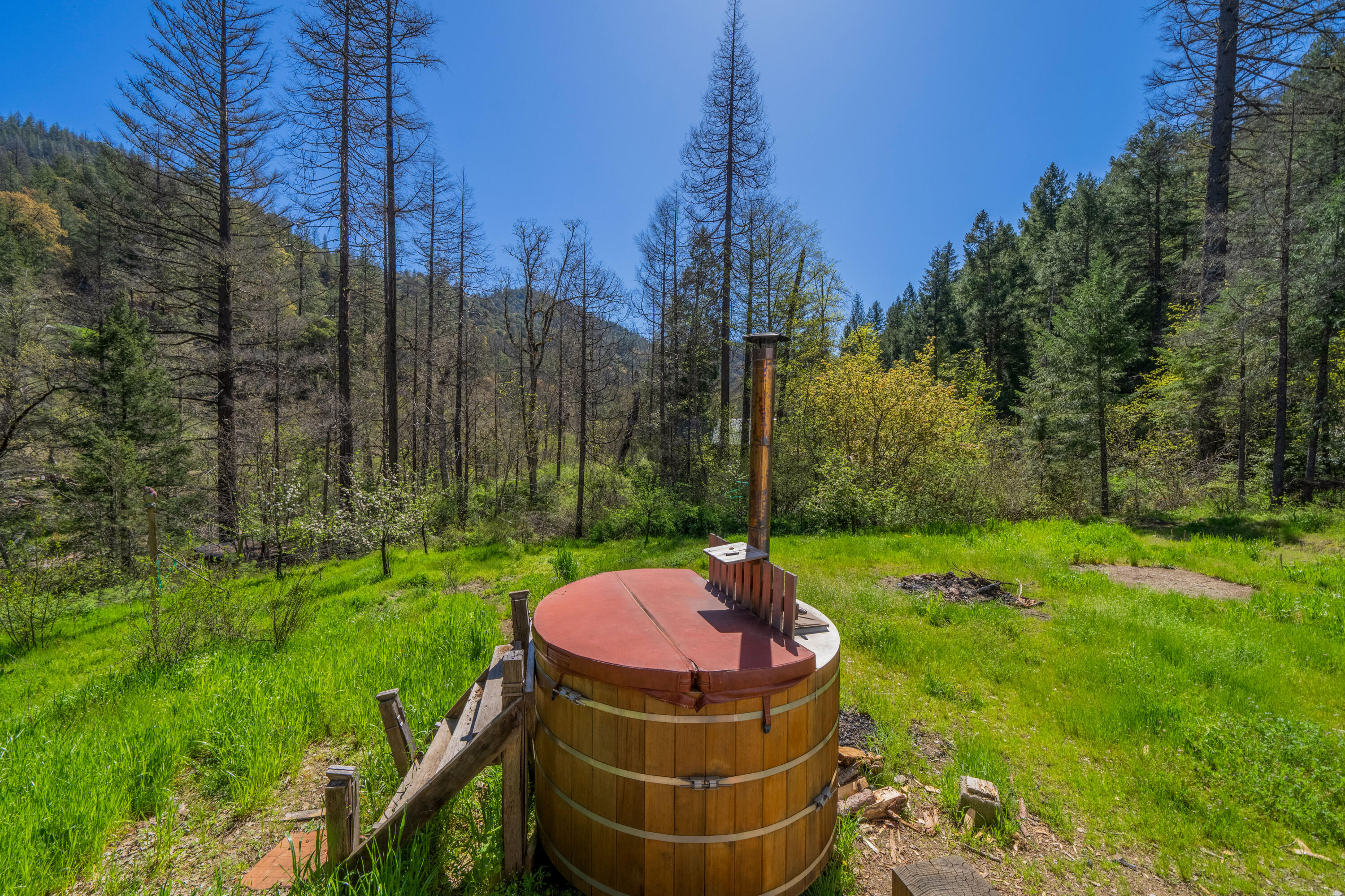 8916 Reading Creek Road Douglas City, CA 96024 - Photo 28 of 48 a view of a backyard