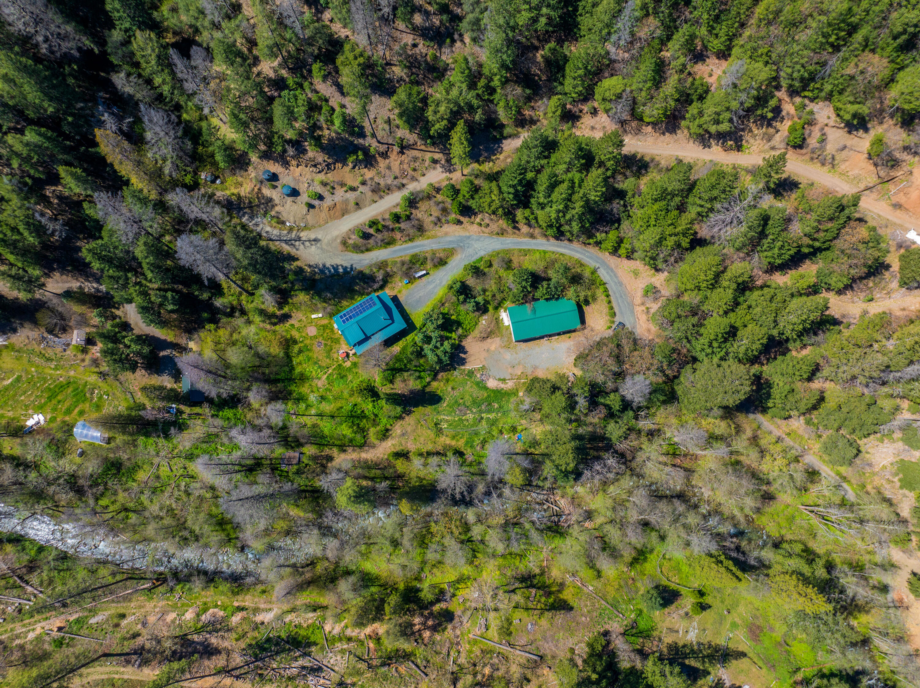 8916 Reading Creek Road Douglas City, CA 96024 - Photo 38 of 48 a view of a yard with plants