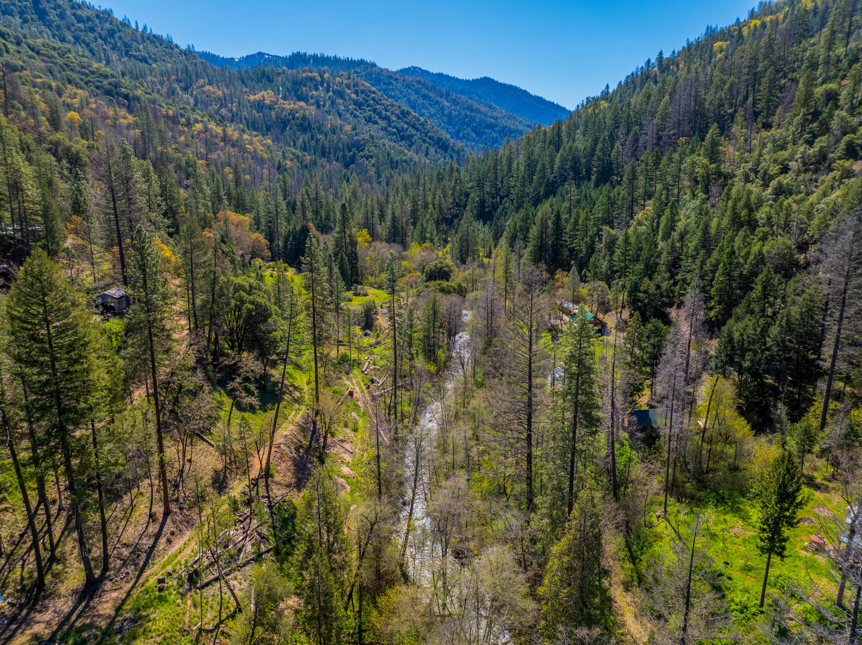 8916 Reading Creek Road Douglas City, CA 96024 - Photo 40 of 48 a view of a city with lush green forest