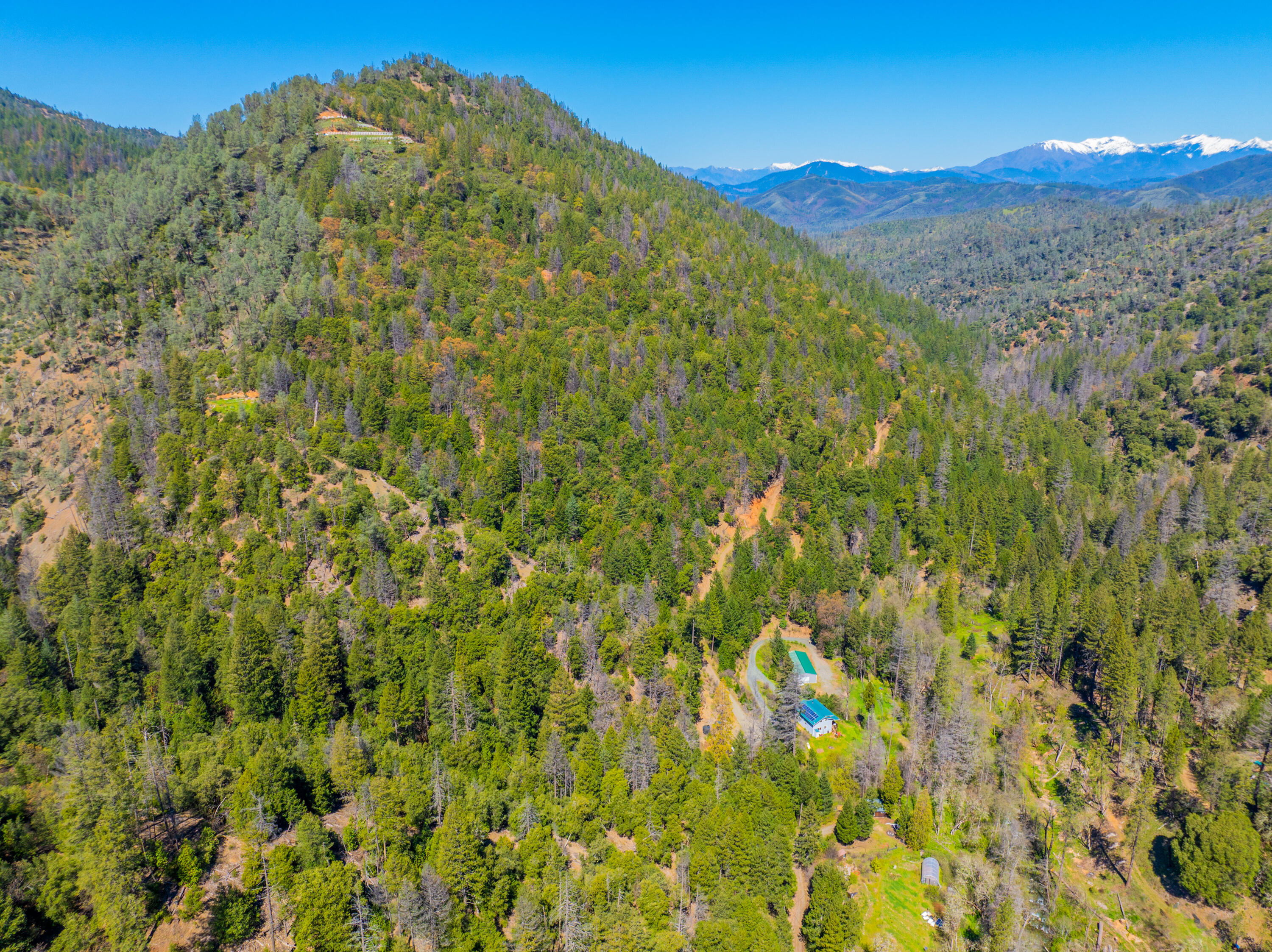 8916 Reading Creek Road Douglas City, CA 96024 - Photo 42 of 48 a view of a large building with a mountain in the background