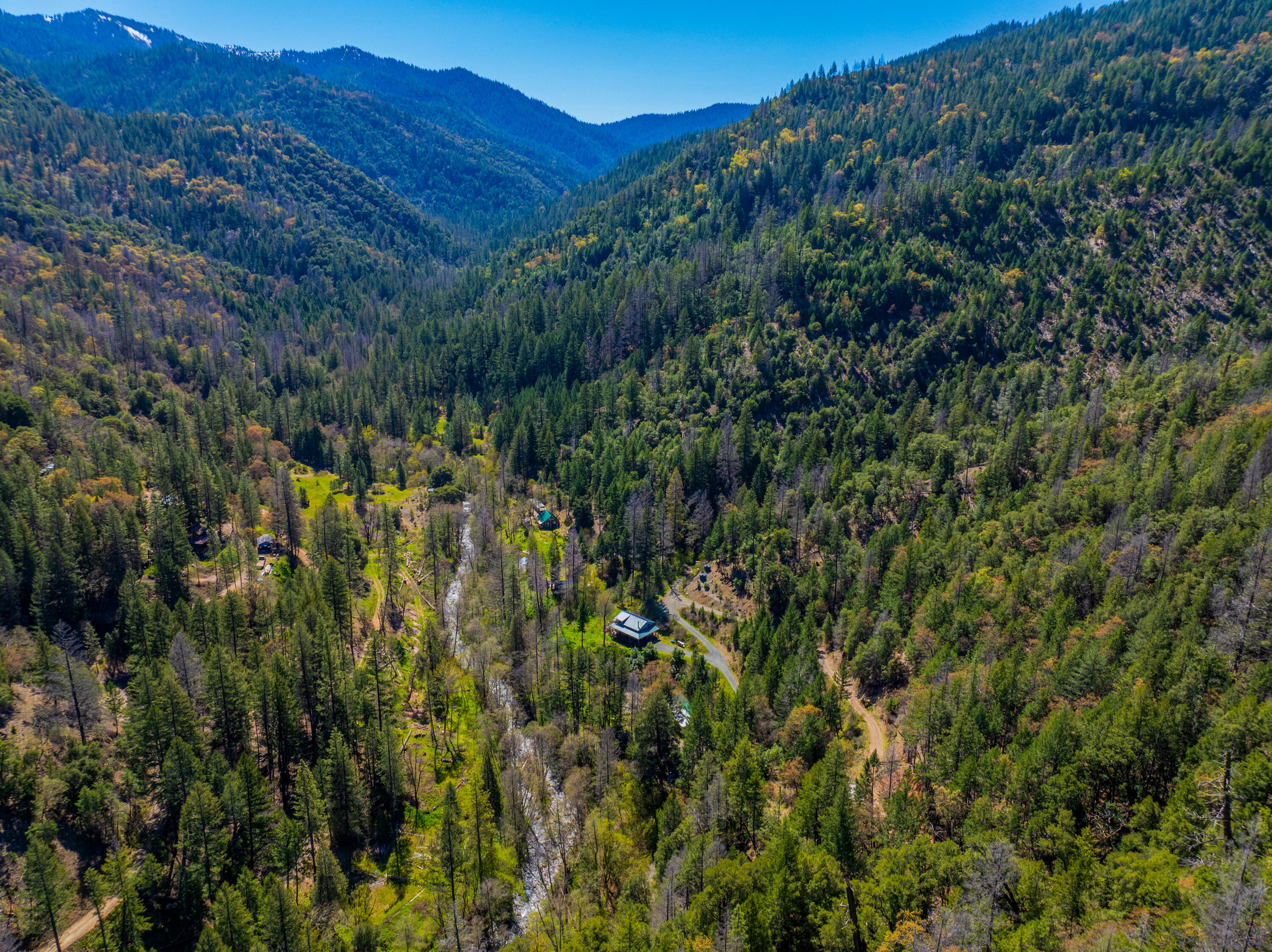 8916 Reading Creek Road Douglas City, CA 96024 - Photo 45 of 48 a view of a lush green forest with trees in the background