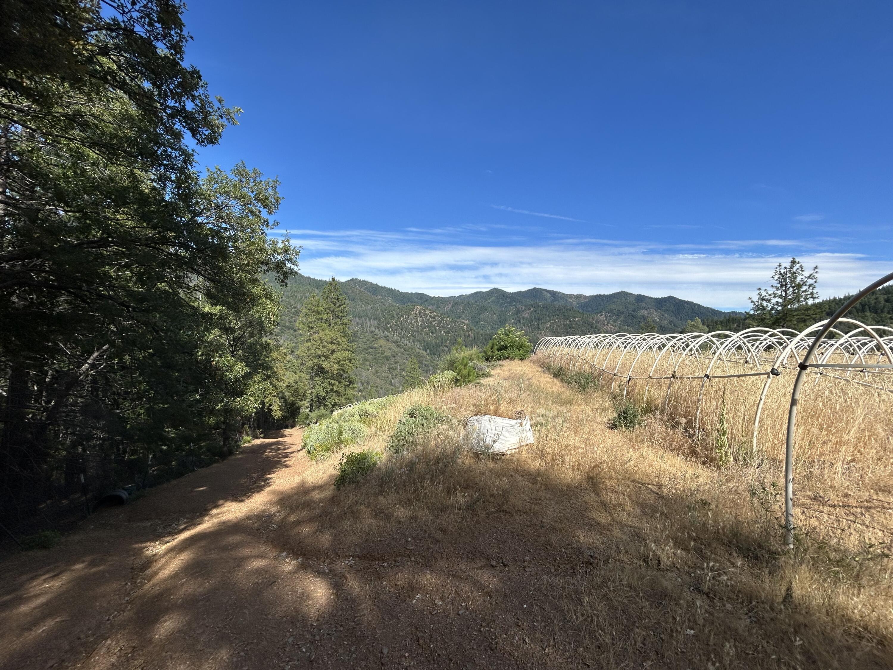 8916 Reading Creek Road Douglas City, CA 96024 - Photo 47 of 48 a view of a lake with a mountain in the background