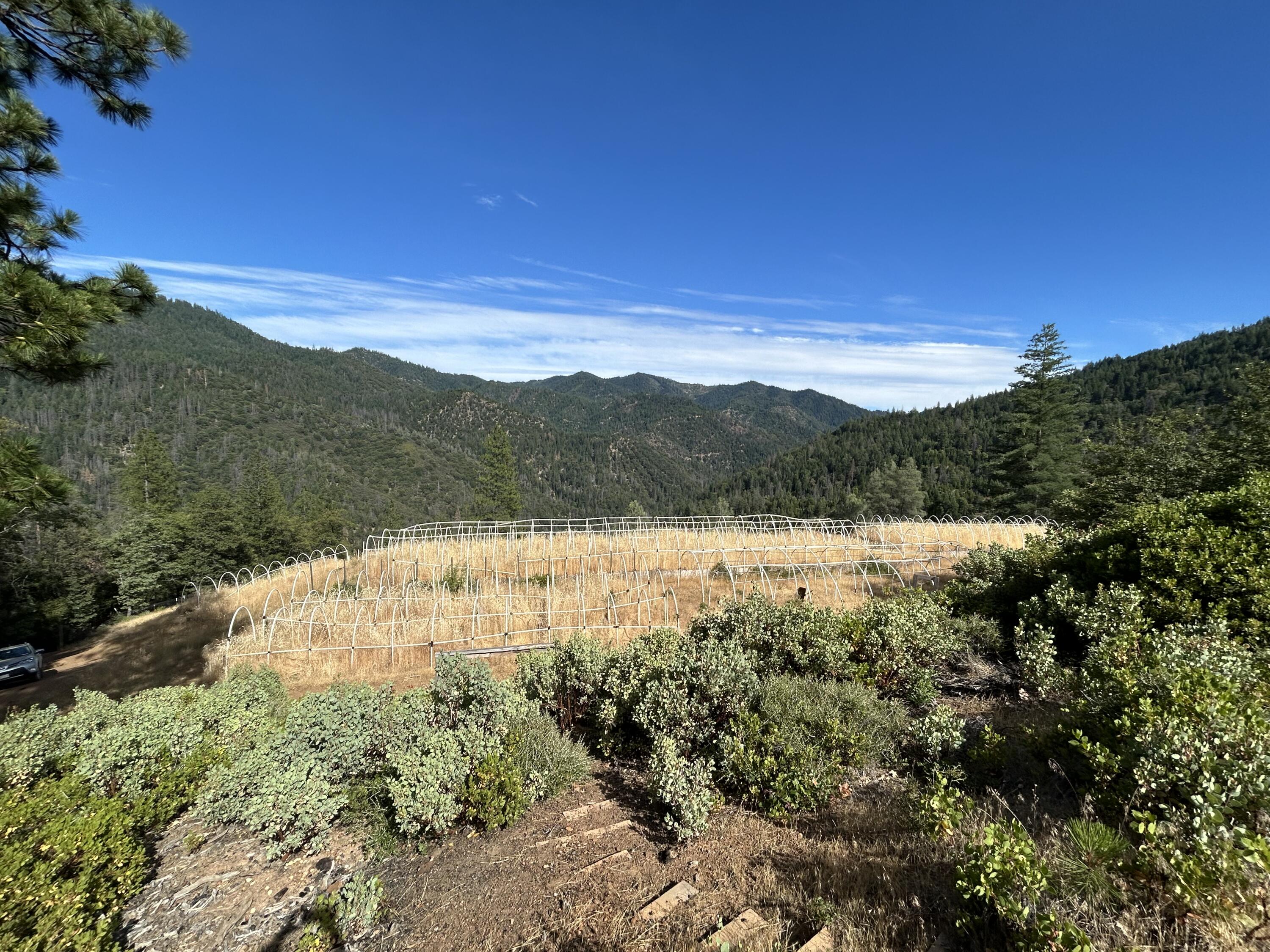 8916 Reading Creek Road Douglas City, CA 96024 - Photo 48 of 48 a view of mountain with lake view