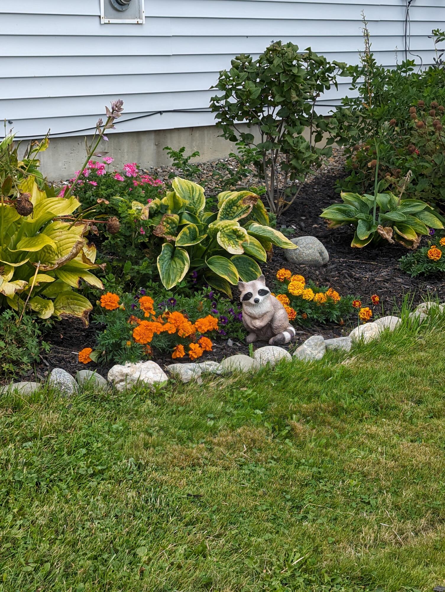 8 Ross Ridge Road Littleton, ME 04730 - Photo 18 of 19 18 Flower Garden