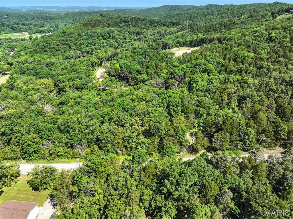 45-ac Twin River Road Eureka, MO 63025 - Photo 19 of 35