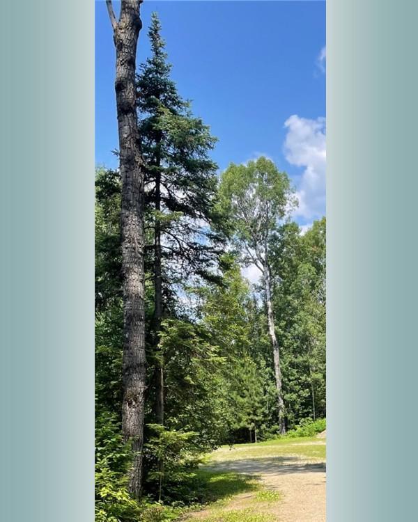 23-xx Low Creek Road Ely, MN 55731 - Photo 3 of 4