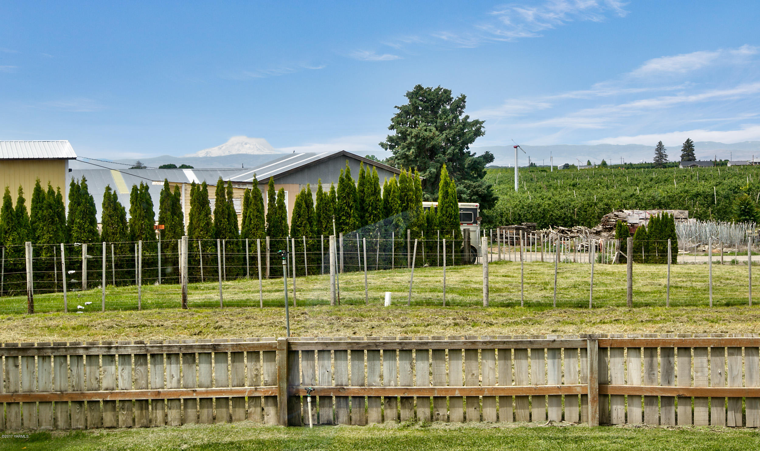 370 Blue Goose Road Zillah, WA 98953 - Photo 25 of 31 a view of a big yard with a large trees